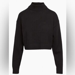 Scottie turtleneck Sunday Best Aritzia like new